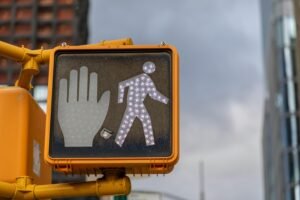 pexels outandaboutwithliz 7730415